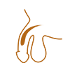 درمان اختلال نعوظ
